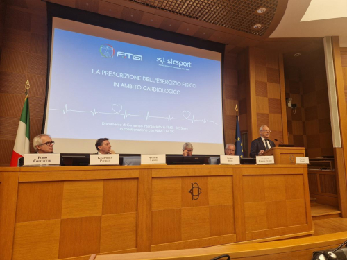 Maurizio Casasco, FMSI ed EFSMA