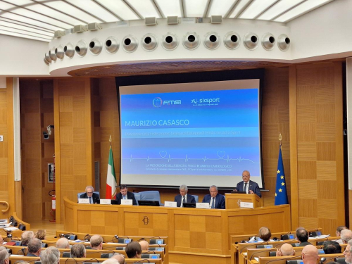 Maurizio Casasco, FMSI ed EFSMA