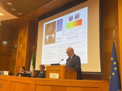 Paolo Zeppilli, SIC Sport