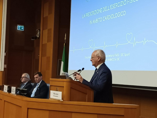 Maurizio Casasco, FMSI ed EFSMA
