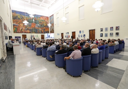 Platea